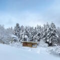 Snow